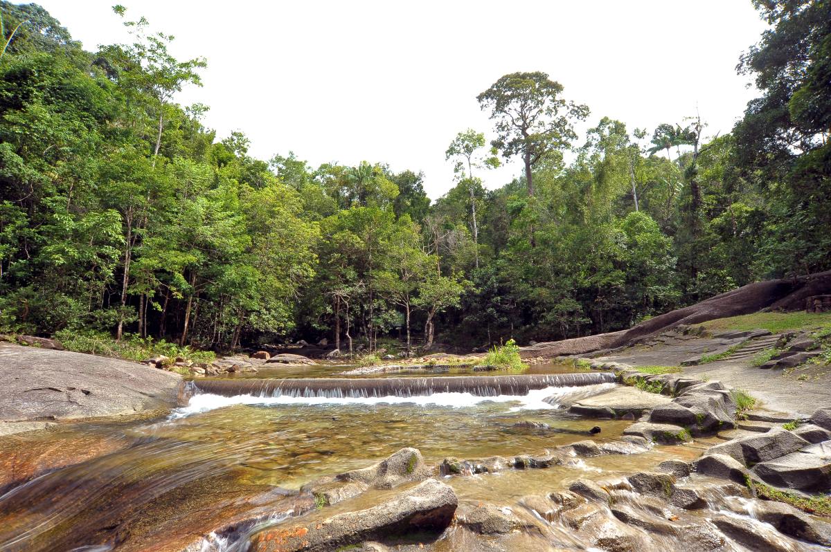 Seven Wells Discovery